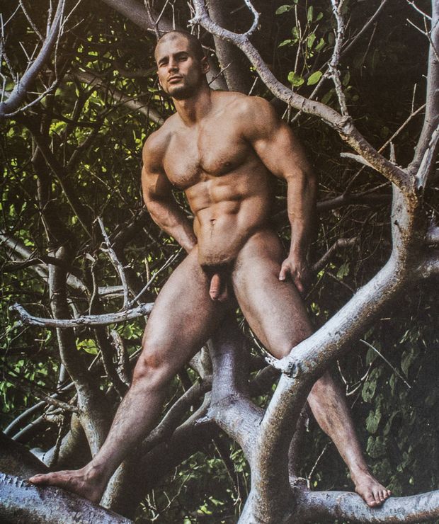 Todd Sanfield