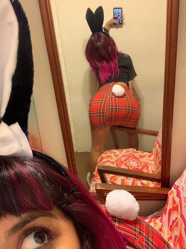 Cute bunny