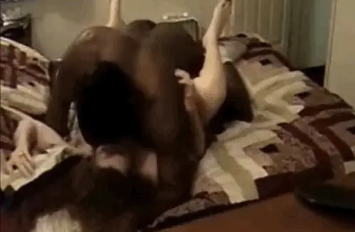 Love when wife is buried beneath a guy getting fucked properly