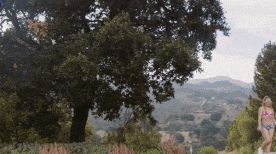 Amber Moore, Lika Star, Anna Claire Clouds & Ivy Wolfe - very sexy car wash babes