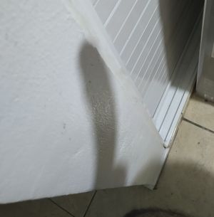 A nice surprise for you