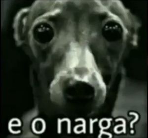 tiroteio Picture