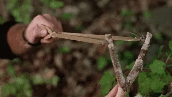a shot in the ass