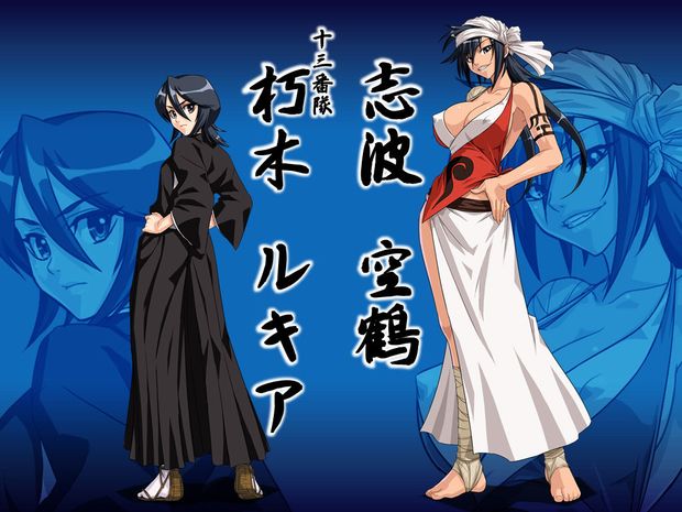 Bleach Duo 01