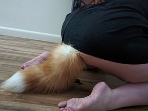 Plugged and leashes, ready to be owned.