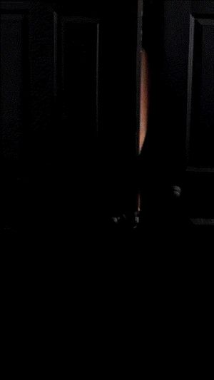 Primals Fantasies - Alison Tyler (Bitch Goes Too Far)