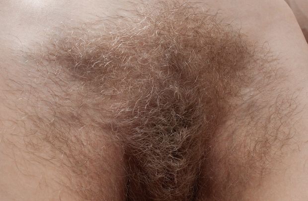 Bush