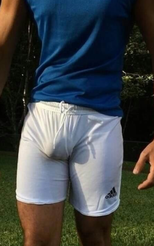 Fantastic bulge