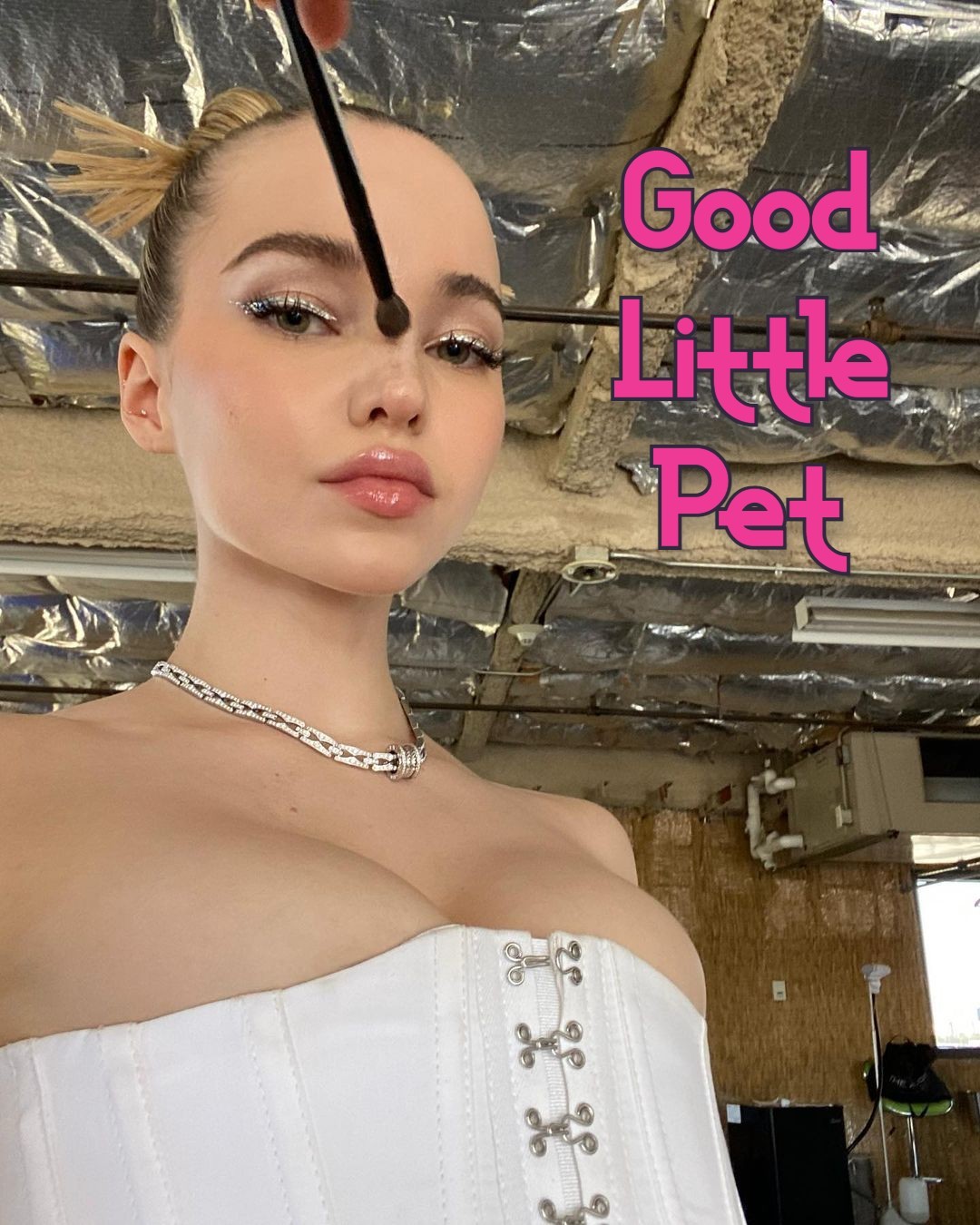 Good Little Pet