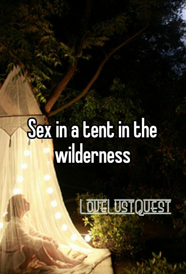 camping tent nature