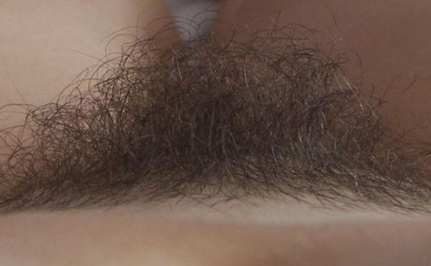 Downy mound
