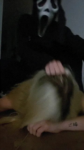 Let’s Take a Selfie First