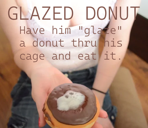 glaze