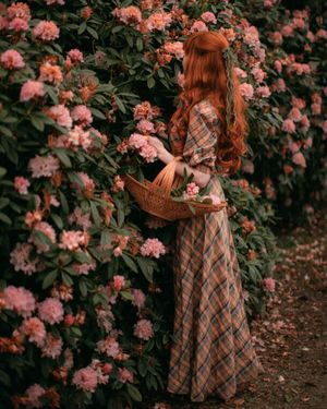 Cottagecore Bloomcore