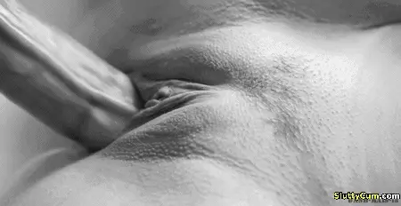 XXX Porn Pictures