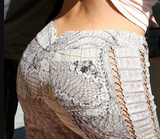 Newbr Picture
