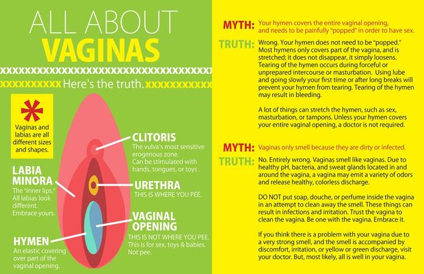 vagina
