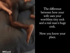 Chaste Cuckold’s watch. Hung bulls fuck wives.