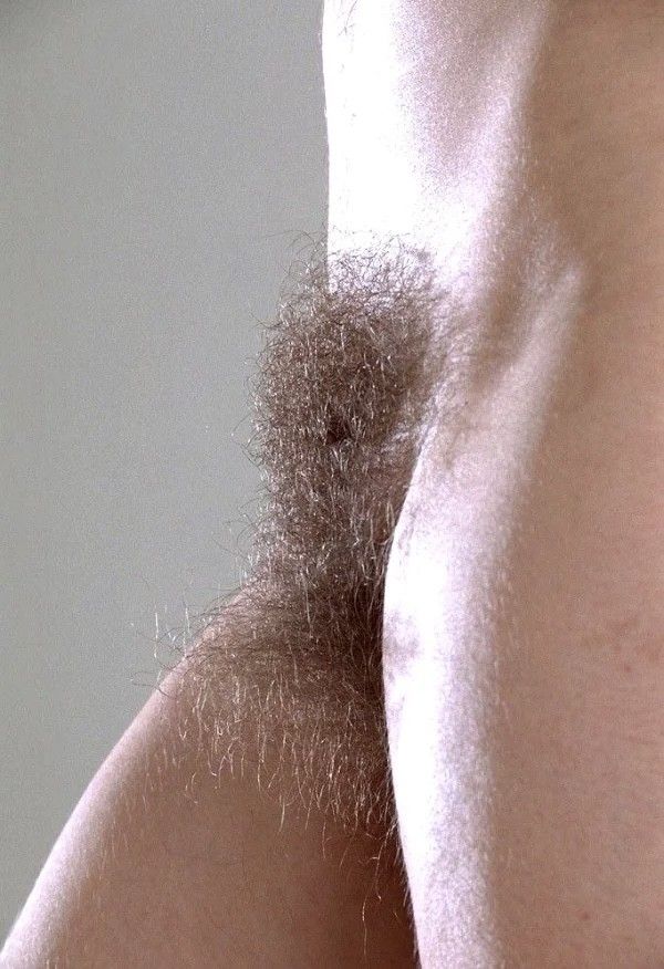 Bush