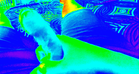 Small dick thermal image