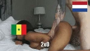 Netherlands vs Senegal