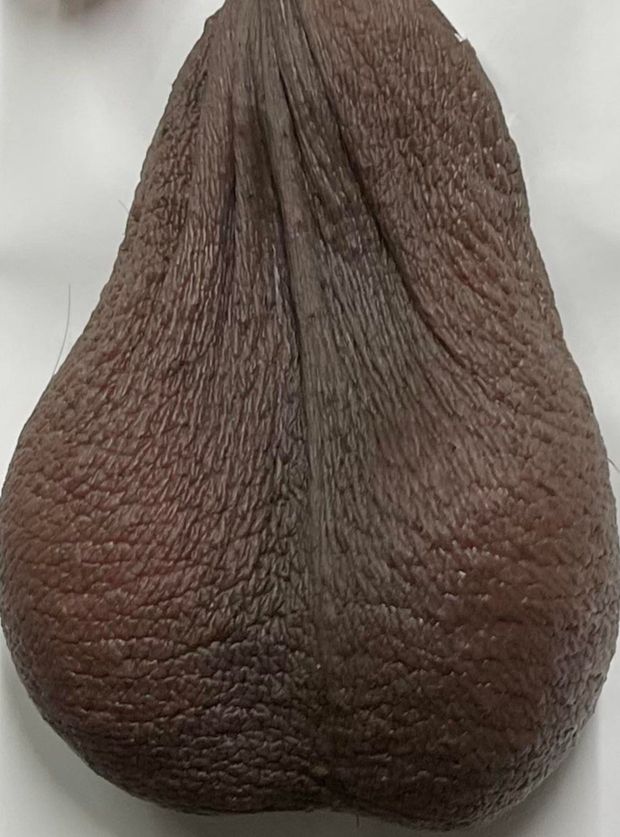 Yam bag