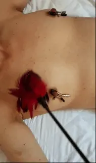 Teasing her clamped hard nipples