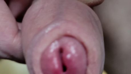 Fat balls right in your face