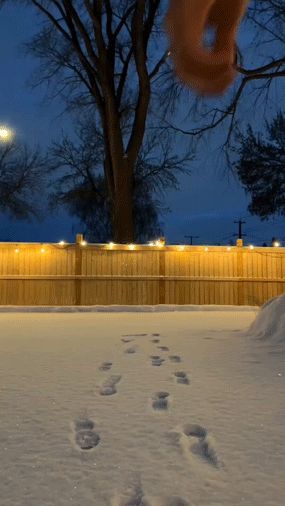 Beautiful curvy booty