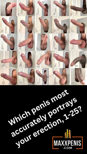 Which penis most accurately portrays your erection, 1-25?
