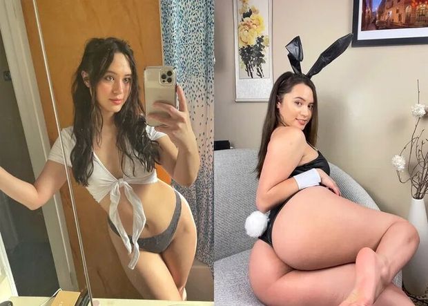 The bunny
