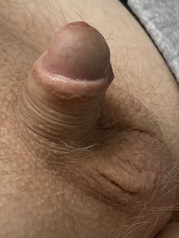 Embarrass my dick