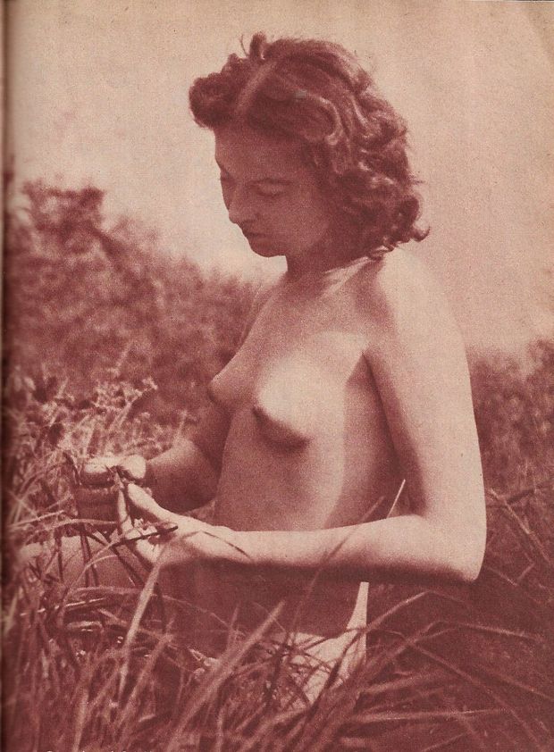 Nude woman in the fields