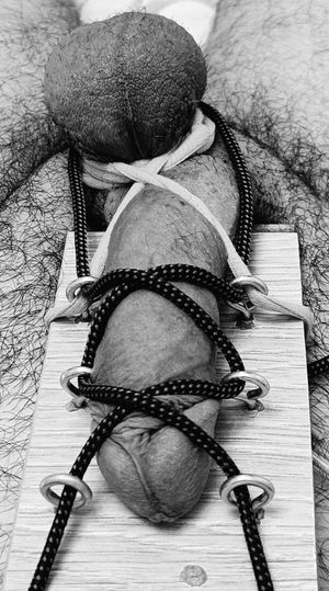 Cock in bondage