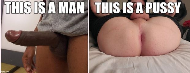 whiteboys are dumb whores