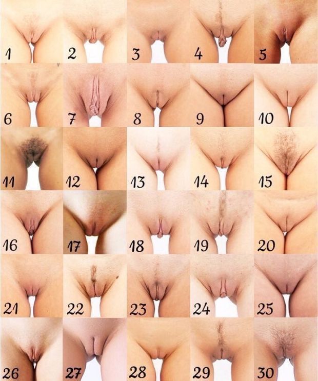 Pick one