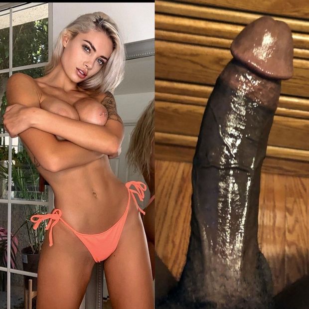 bbc babecock