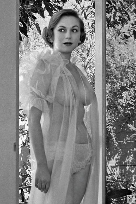 sheer fashion s