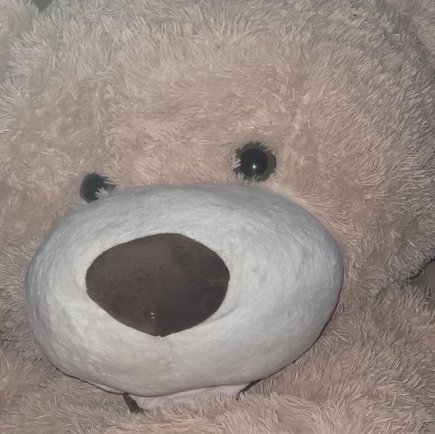 A closeup of my teddy bear