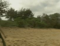 Angela Little, Nikki Nova, Cheyenne Silver