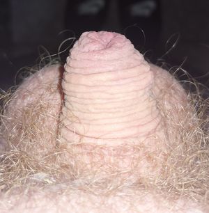 Cagedcock1 Picture
