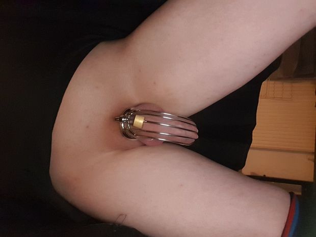 Picture of my locked up clitty