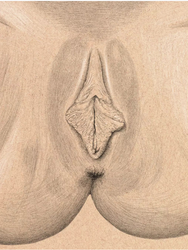 Pussy