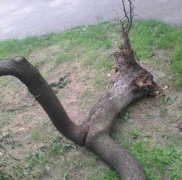 looks like my X