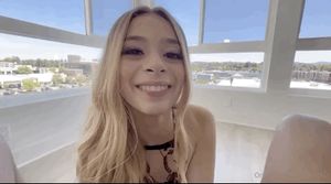 molly little swallows