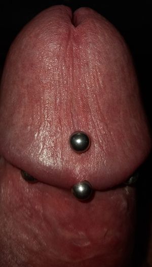 Pierced penis
