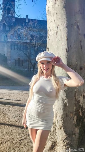 My friend from work came over and agreed about the size of their big, well, you know..