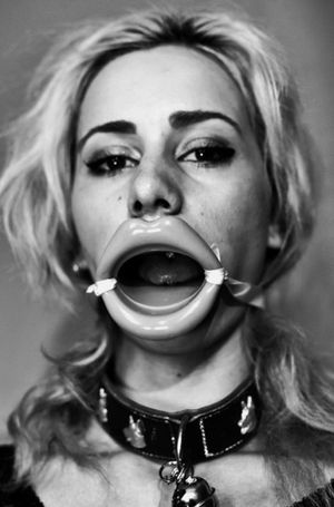 Look what Santa brought you!