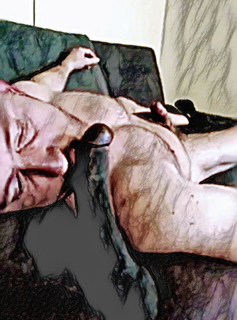 Rest