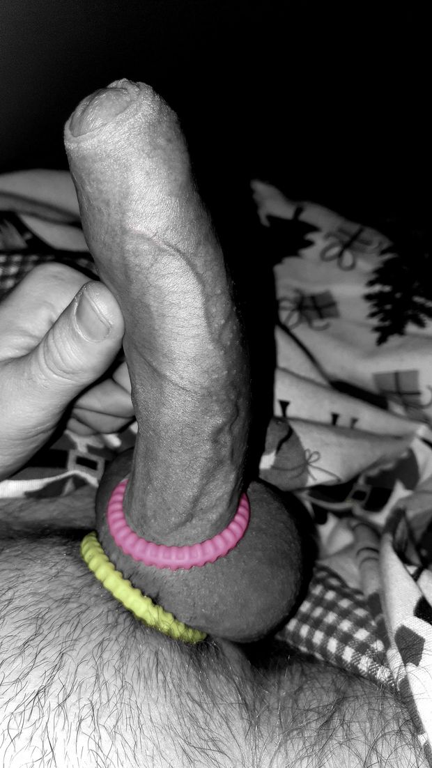 Cock with colored rings